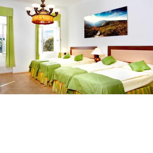 Wenceslas Square Hotel