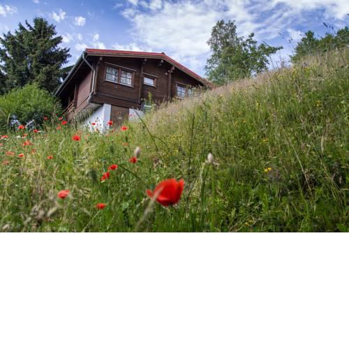 Werrapark Resort Ferienhausanlage Am Sommerberg