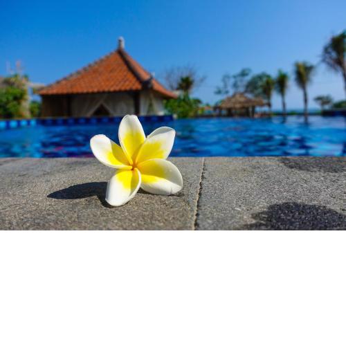 West Break Bali - Medewi