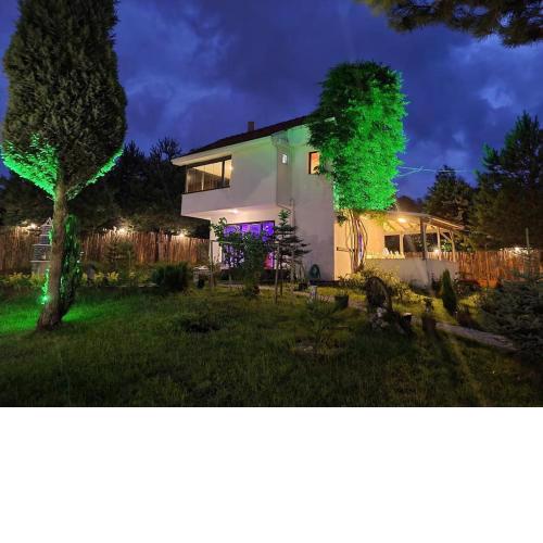 White home sapanca villa