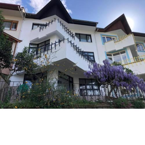 WHİTE HOUSE