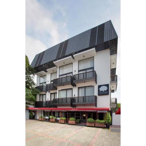 White Tree Residence