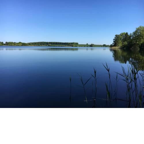 Wiebkes Seekoje