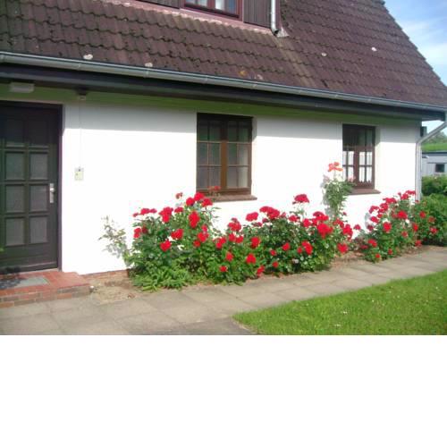Wiesenpieper