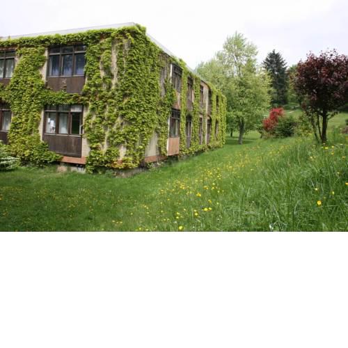 Wildbach Appartement