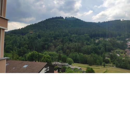 Wildbadferien DE