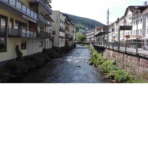 Wildbadferien