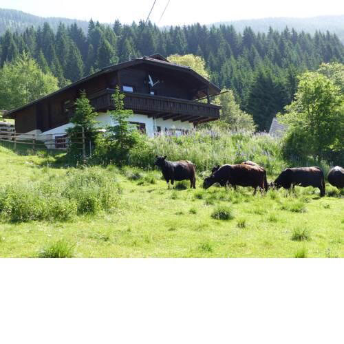 Wildhaberhütte