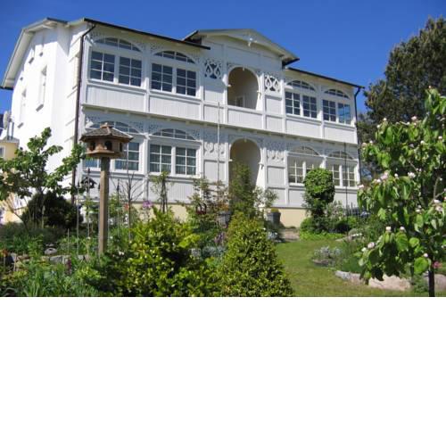 Wildrose im Ostseebad Goehren