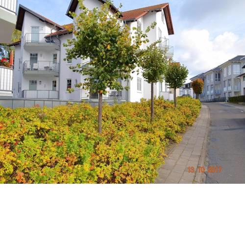 Wilhelmstr. 10 Whg 01