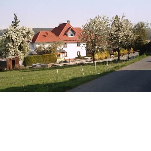 Willekes Blütenhof
