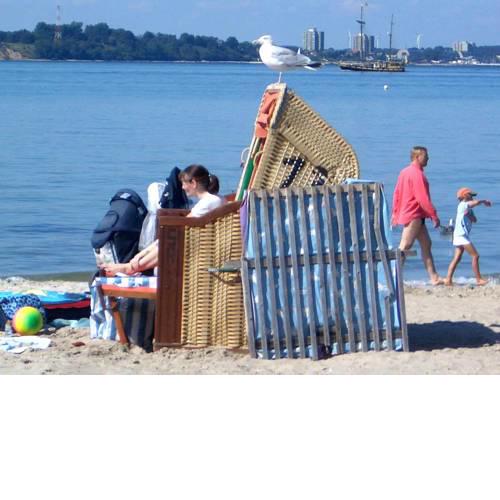 Windjammer: Dar Pomorza