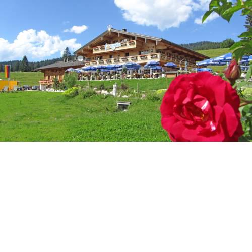 Winklmoos Sonnenalm