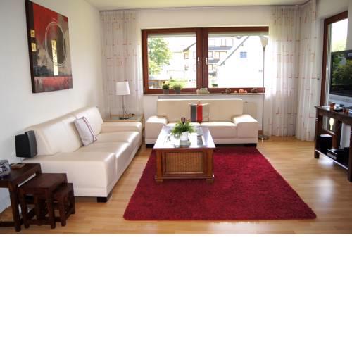 Winterberg Appartement 21068
