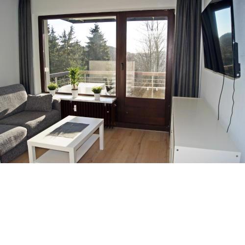 Winterberg Appartement 21118