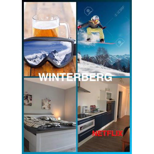 Winterbergvakanties luxe appartementen Winterberg