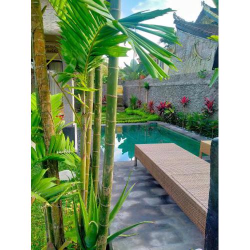 WITA HOUSE