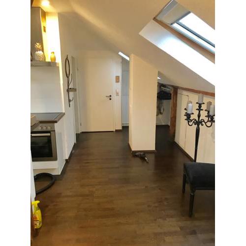 Wohnen über den Dächern von Ravensburg (Kamin)