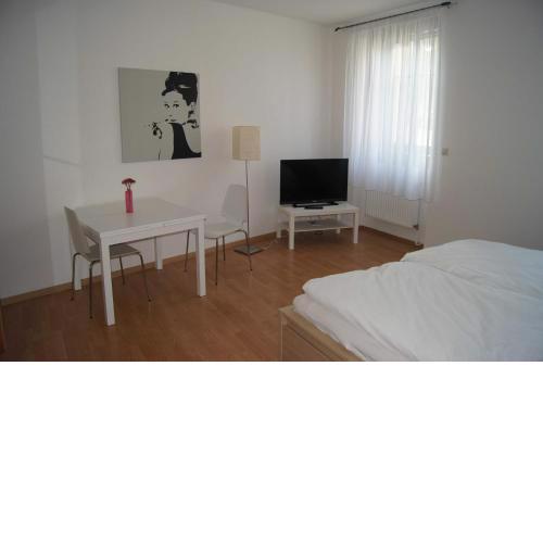 Wohnung im Zentrum von Graz