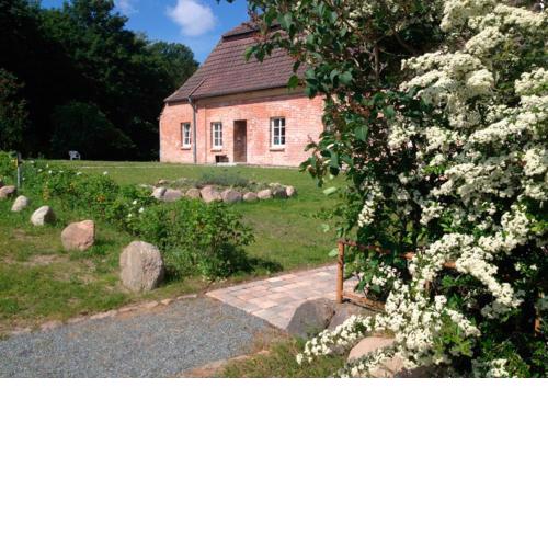 Wohnung in Alt Schwerin - a56030