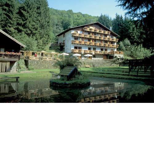 Wolffhotel