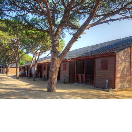 Wooden chalet with a nice covered terrace, near the beach