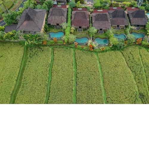 Wooden Ganeca Villas by Pramana Villas