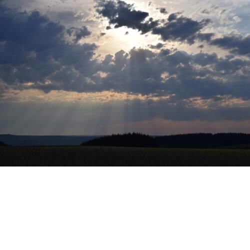 Wunsch und Verwirklichung
