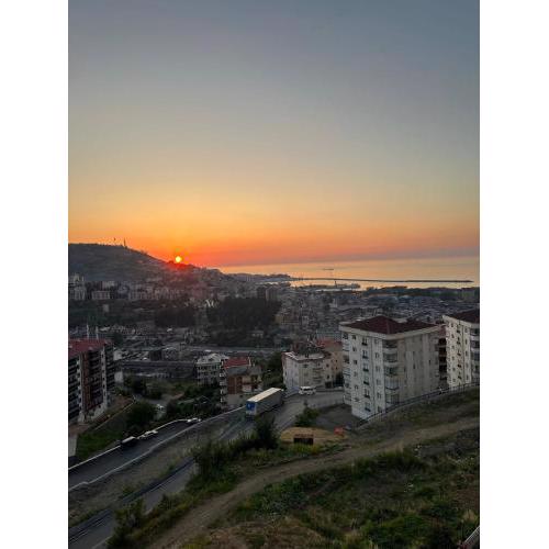 Yaşam Panaroma
