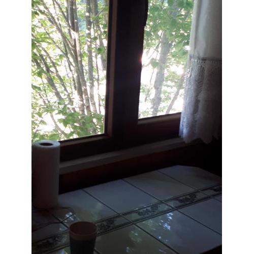 Yayla evi