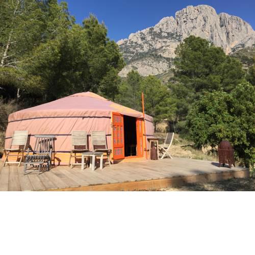 Yurta Naranja
