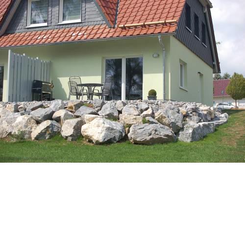 Zaunkönig 1.