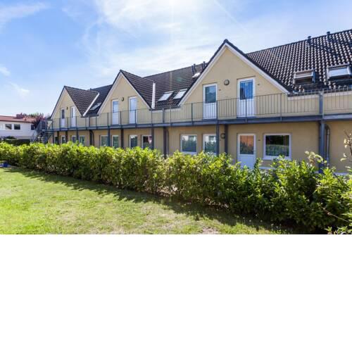 Zaunkönig Wohnung 07
