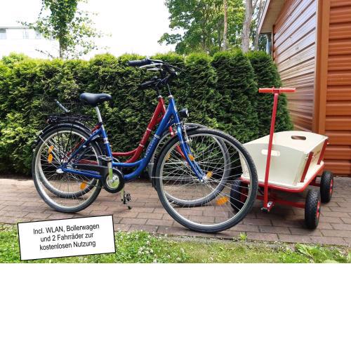 Zempin Ostseepark WE 32 **Insel Usedom**150m zum Strand**