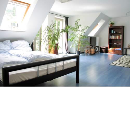 Zentrale Ferienwohnung Anker im Sonnenblumenhaus
