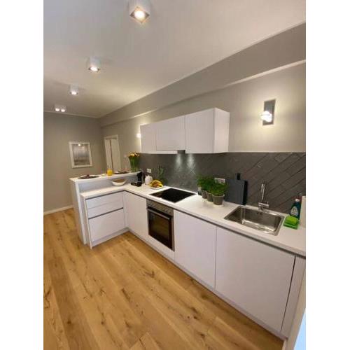 Zentrales Appartment mit großer moderner Küche (EG 1)
