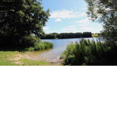 zentrumsnahes Wohnen in der Alten Schule am See