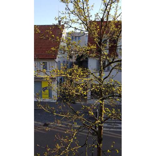 Zimmer in Schorndorf