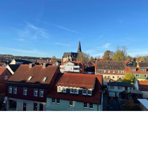 Zum Borkenkäfer