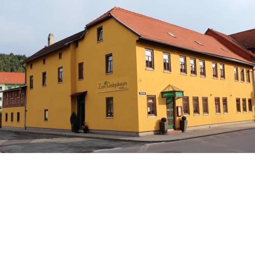 Zum Ginkgobaum