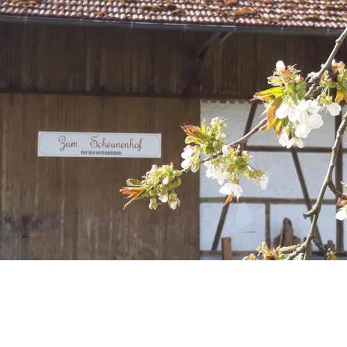 Zum Scheunenhof, EG-Wohnung Zur Futterküche - 1 - a46152