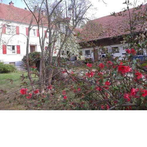 Zum Scheunenhof, OG-Wohnung Zum Speicher - 2 - a46156