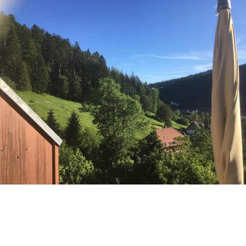 Zum Schwalbennest