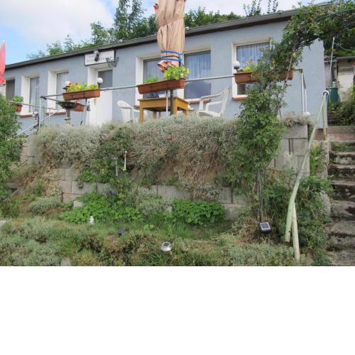 zum Wiesengrund im Oderbruch