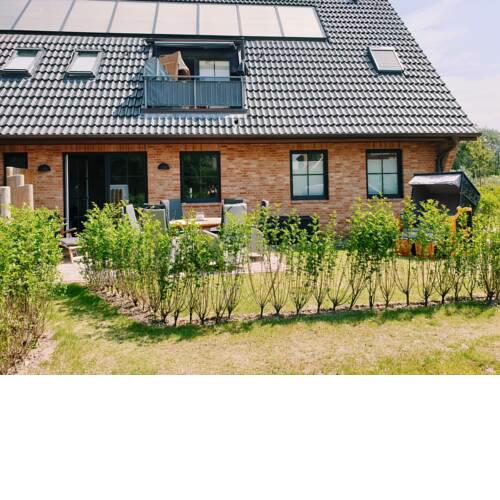 Zweite Heimat