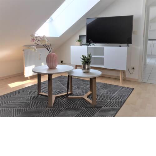 Zwillingsperlen Leutzsch - Appartement Villenblick