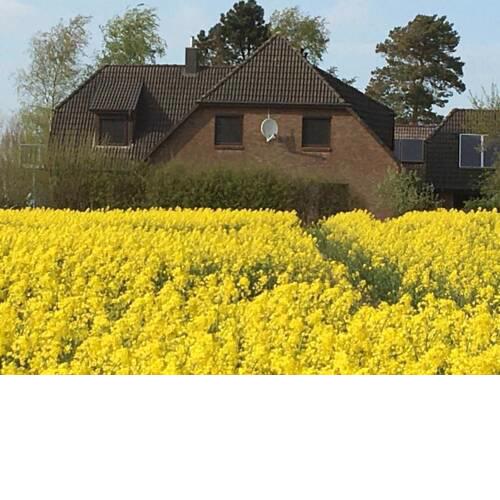 Zwischen den Feldern